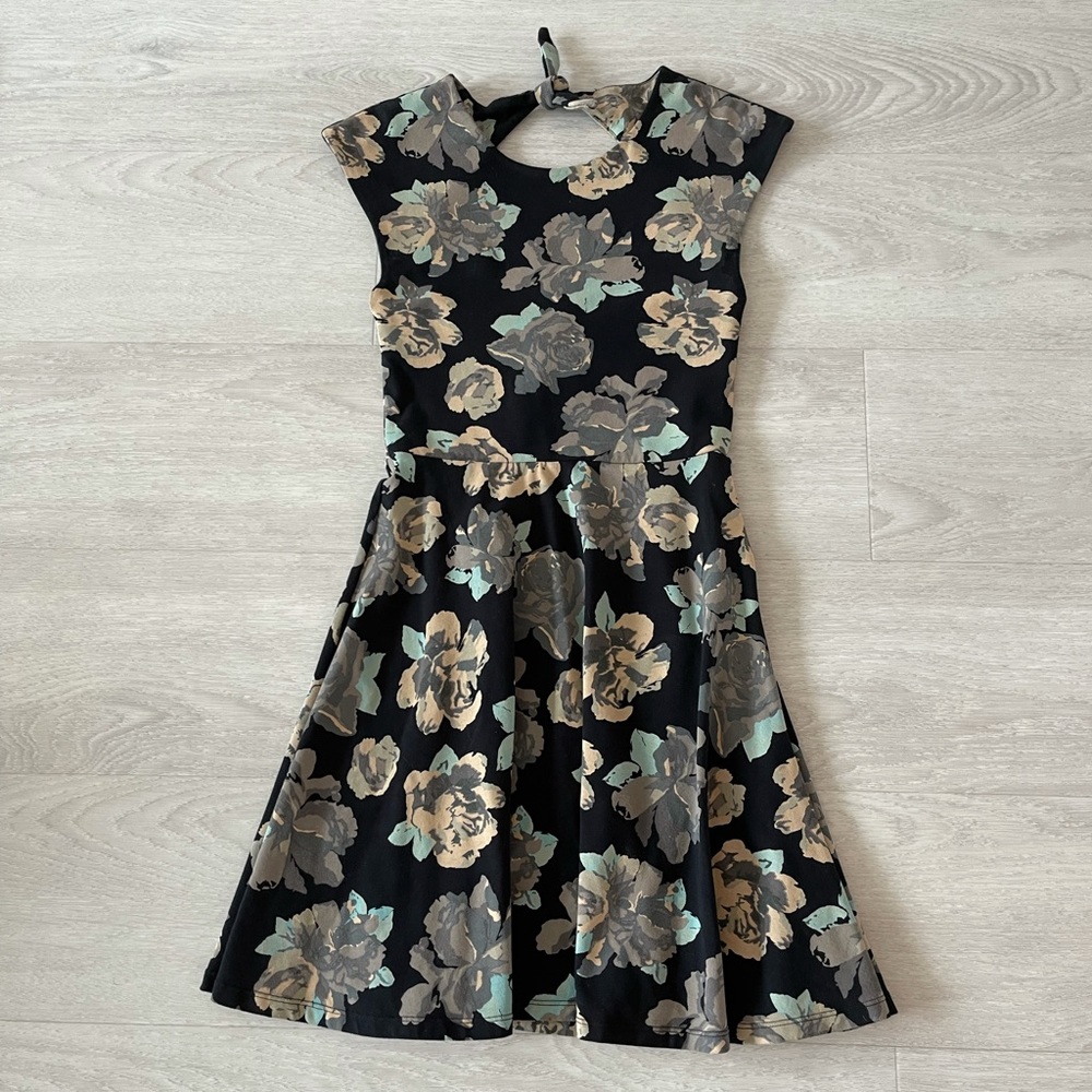 Aritzia Talula Palmetto Dress